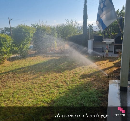 השקיית גינה עם דשא ירוק ודגל ישראל ברקע